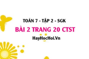 Bài 2 trang 20 Toán 7 Tập 2 Chân trời sáng tạo